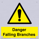 danger-falling-branches~